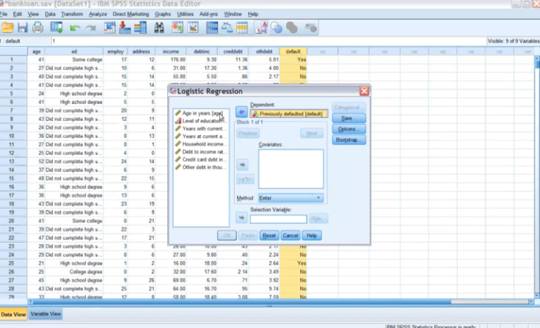 IBMSPSS_screenshot