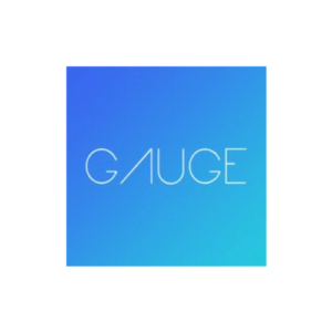 gaugeinsights_logo