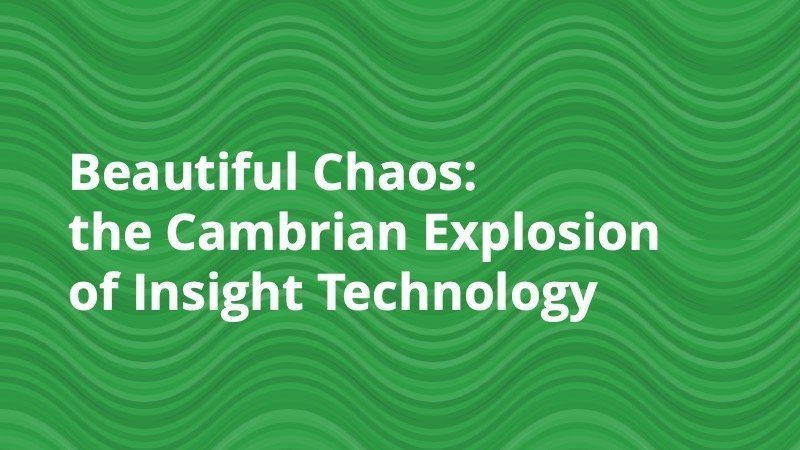 Beautiful Chaos - the Cambrian Explosion of Insight Technology