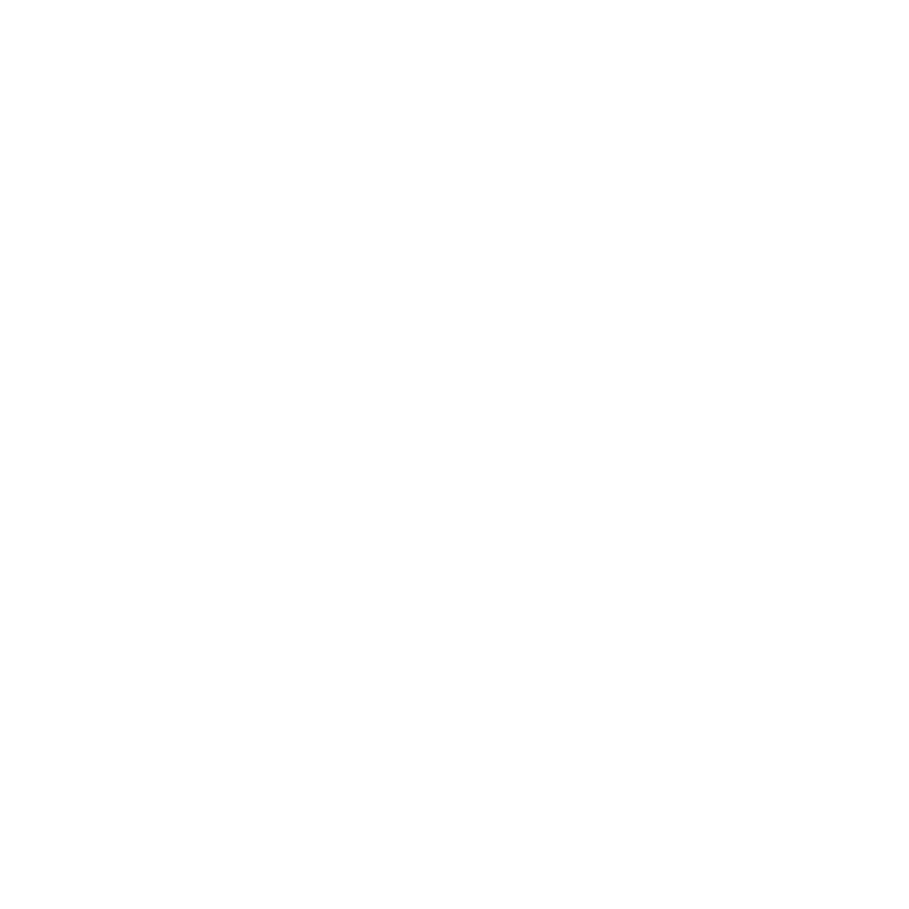 White Outline - Insight Platforms Logo