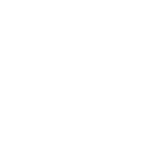 Insight Platforms Academy Logo White Transparent - Insight Platforms