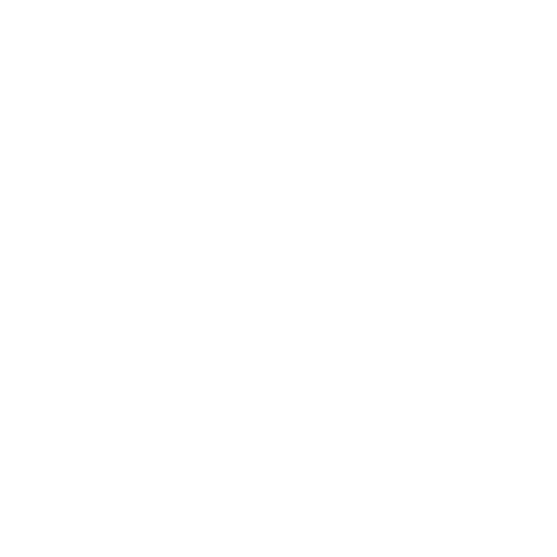 Zinklar Logo White Transparent - Insight Platforms