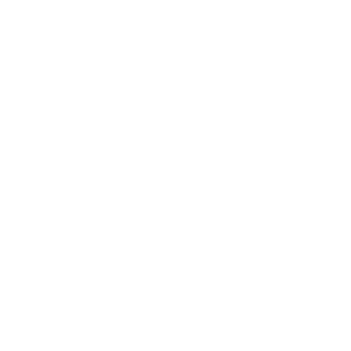 FlexMR Logo Transparent White - Insight Platforms