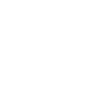 Caplena Logo Transparent White - Insight Platforms