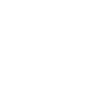 Fastuna Logo Transparent White - Insight Platforms