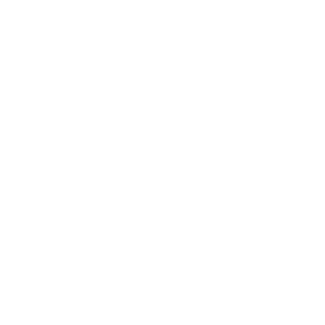 Delineate-Transparent-White-Logo-Insight-Platforms