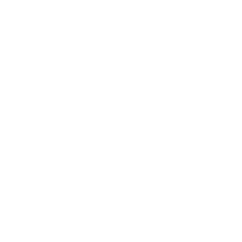 Malliavin Logo Transparent White - Insight Platforms