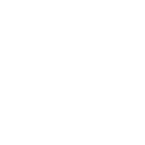 Reckitt - Insight Platforms - Transparent Logo