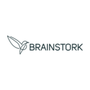 Brainstork Logo Square Insight Platforms 300x300