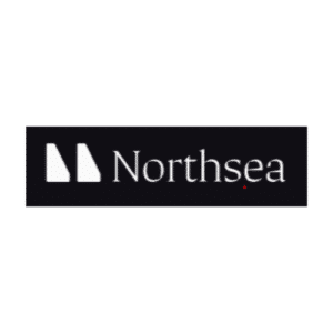 Northsea AI Square White Background Insight Platforms 300x300