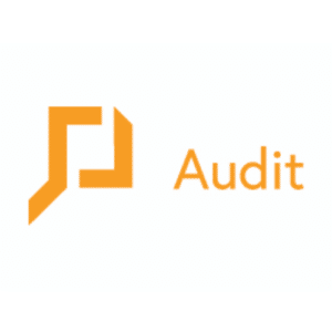 InTouch Audit Square White Background Insight Platforms 300x300